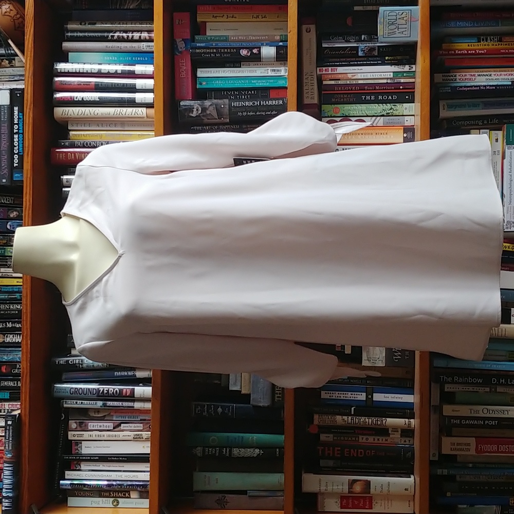 EXPRESS Tie-Sleeve Shift Dress